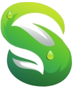 گالری سکویا